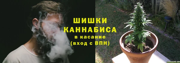 шишки Белокуриха