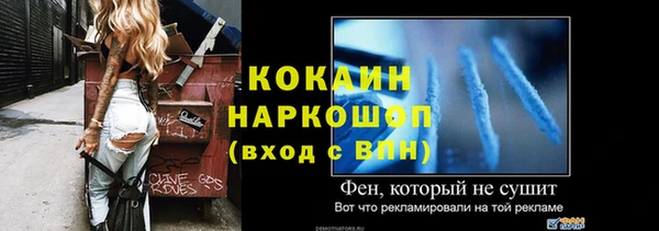 шишки Белокуриха