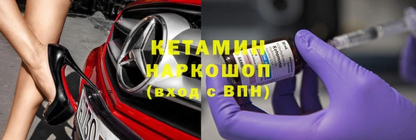 шишки Белокуриха