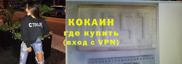 шишки Белокуриха