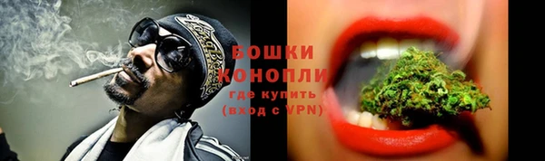 шишки Белокуриха