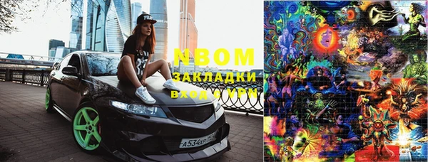 шишки Белокуриха