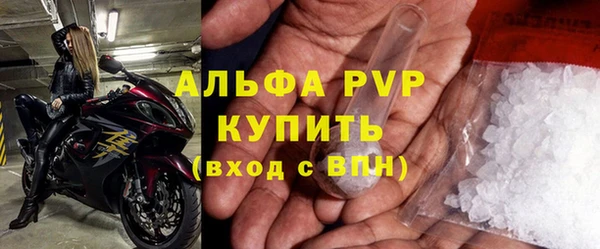 шишки Белокуриха
