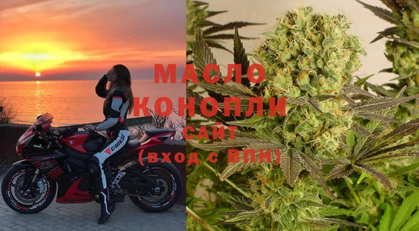 шишки Белокуриха