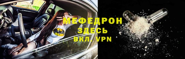 шишки Белокуриха