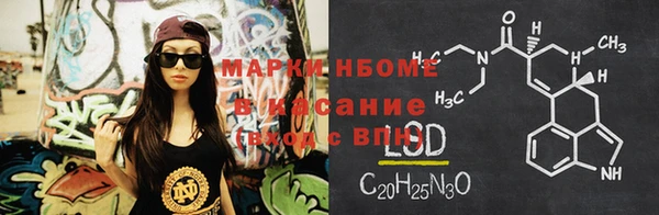 шишки Белокуриха