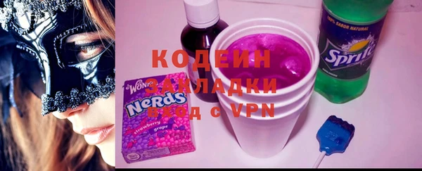 шишки Белокуриха