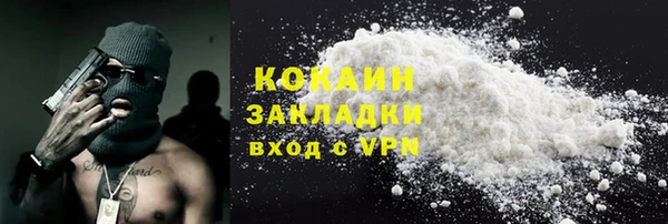 шишки Белокуриха