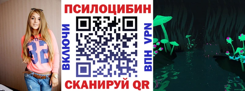 Галлюциногенные грибы Psilocybine cubensis Кунгур
